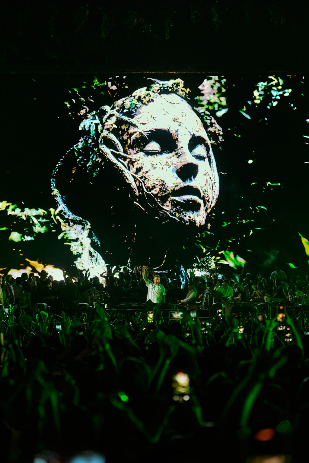 DAVID GUETTA ZAMNA TULUM GENERAL