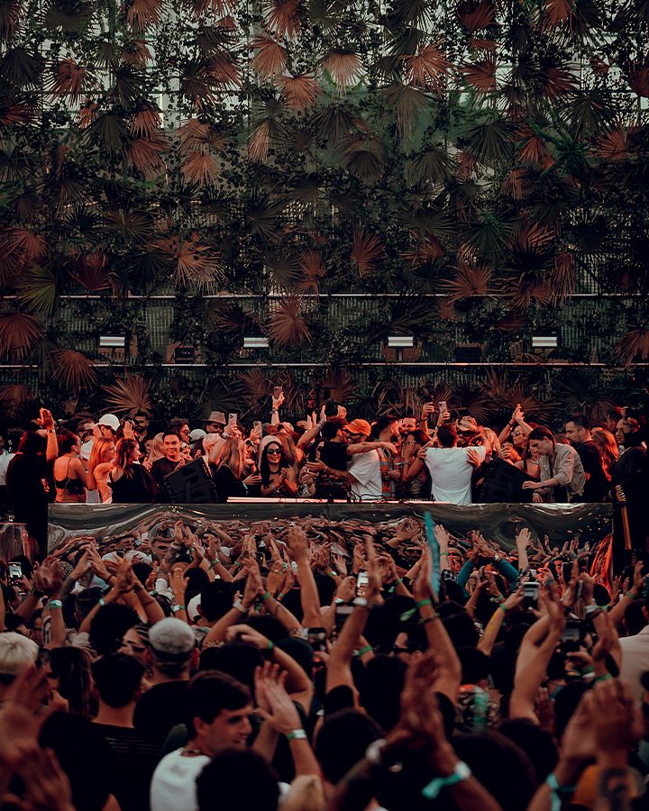 NO ART ZAMNA TULUM VIP