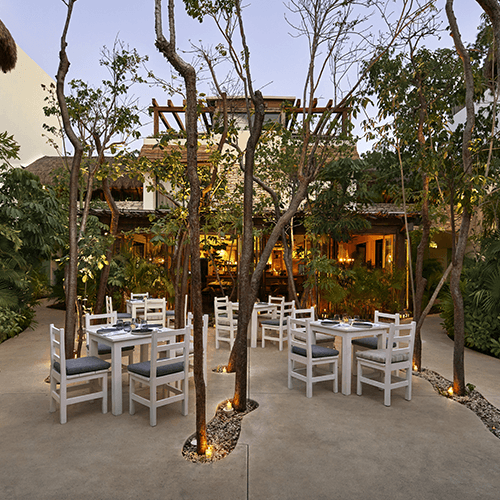 PAQUETE DE HOTEL PULSE OF GAIA KIMPTON ALUNA (2 HABITACIONES): 8 al 10 de Enero - Nivel 1